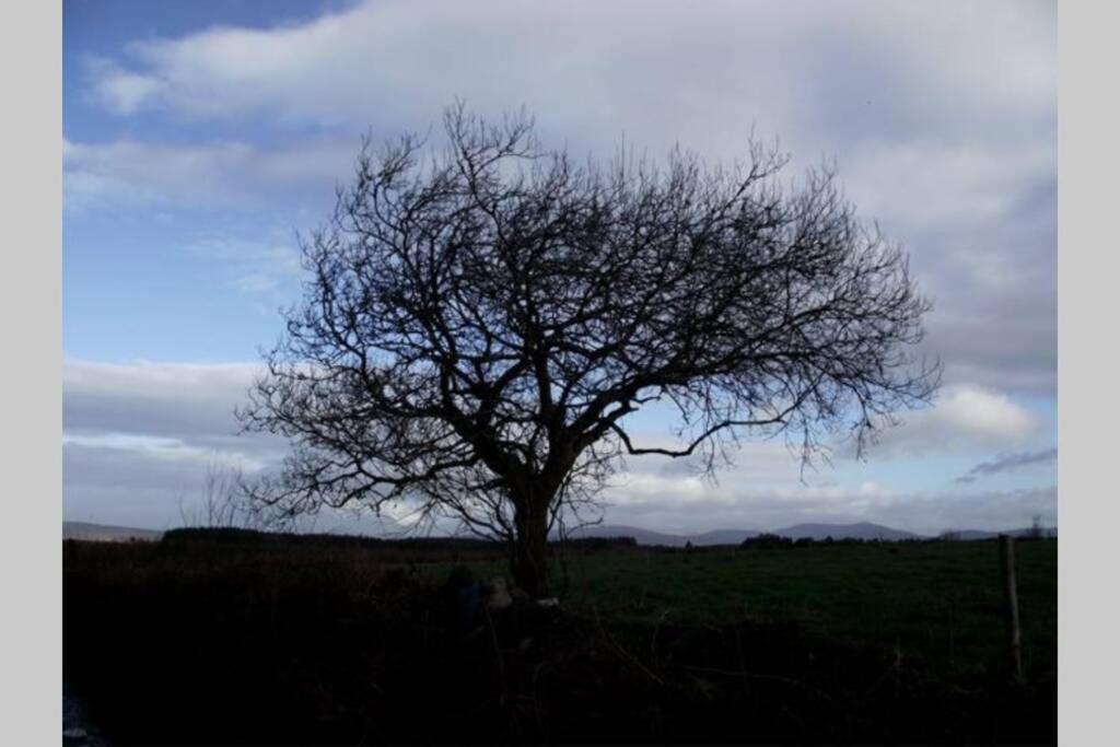 Driftwood Country Apartment Skibbereen Dış mekan fotoğraf